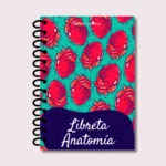 Libreta Anatomía - Imagen 2